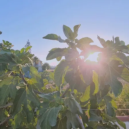 Lägenhet The Getaway