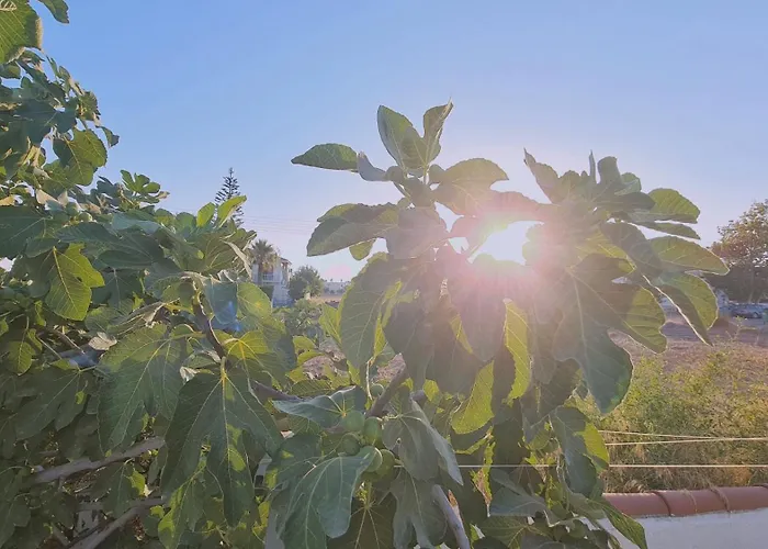 Апартаменты The Getaway